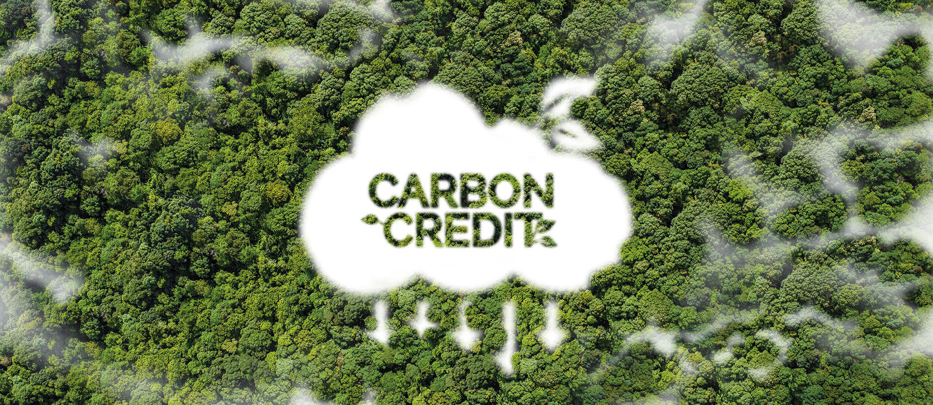 Taxing emissions: VAT and voluntary carbon credits