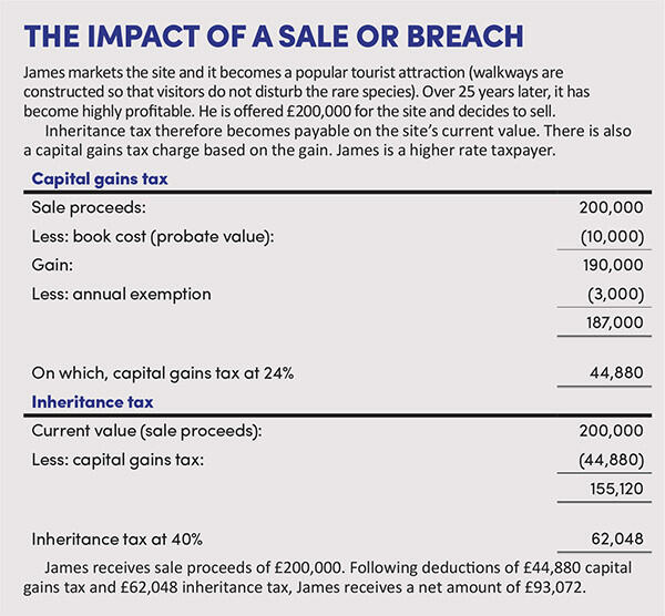 THE IMPACT OF A SALE OR BREACH